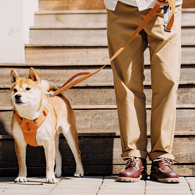 أحذية مادن الرجالية الكلاسيكية - مراجعة Men Formal Wear With Boots وسعره
